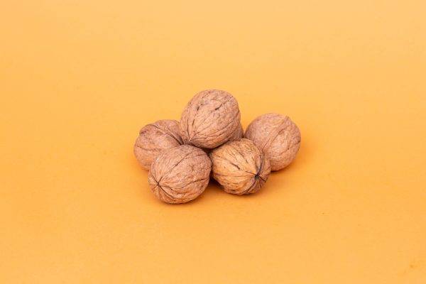 Nuez cascara pais